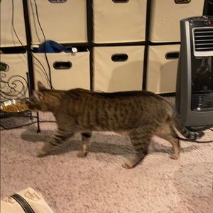 Meet your Posher, Charles